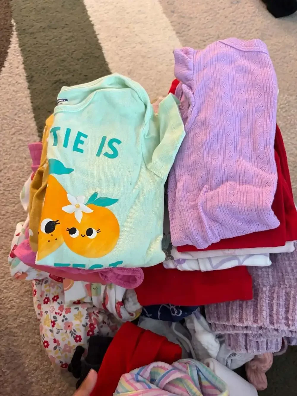 Toddler Girl Assorted Clothing Bundle 18-24 Months